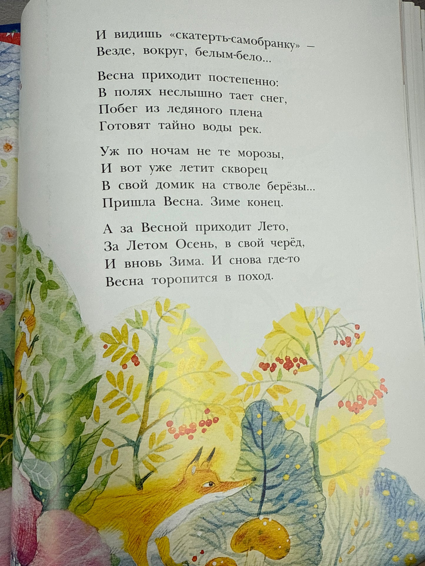 New Year all year round!