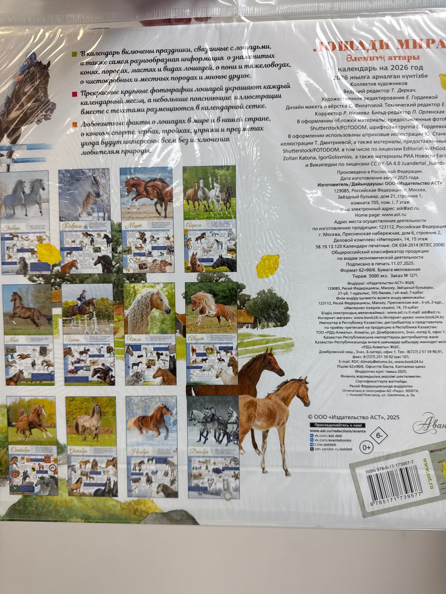 World Horse Calendar 2026