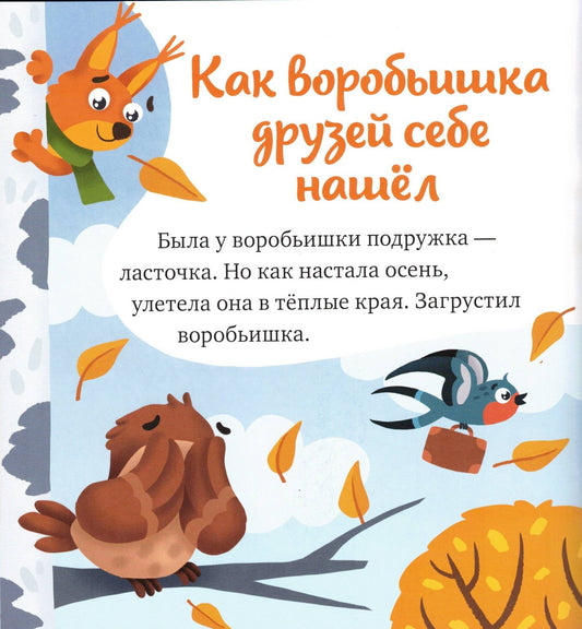 Inquisitive kid. What happens in winter?