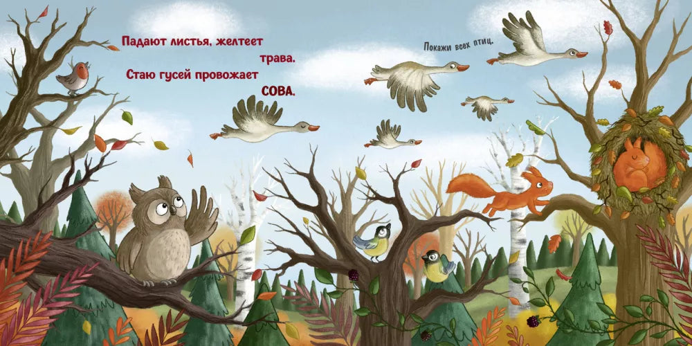 Board books. Autumn in the forest