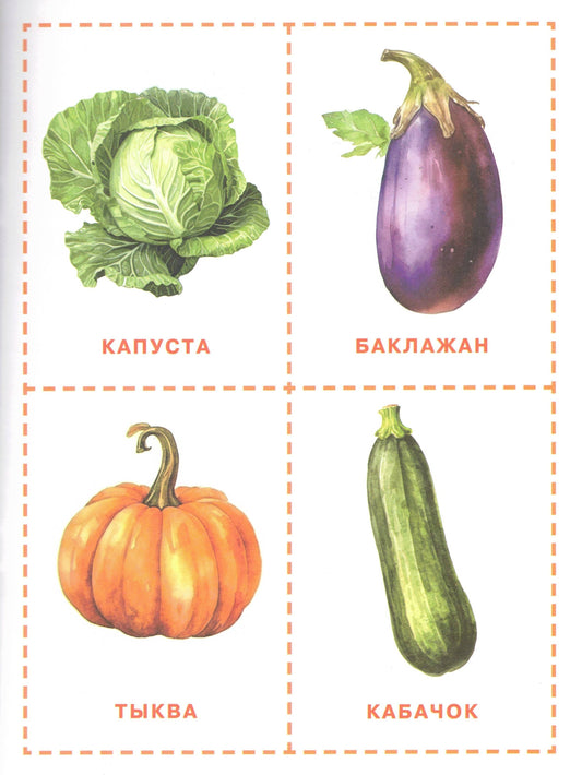 Карточки для нейротренировки по методике Гленна Домана: с 6 месяцев