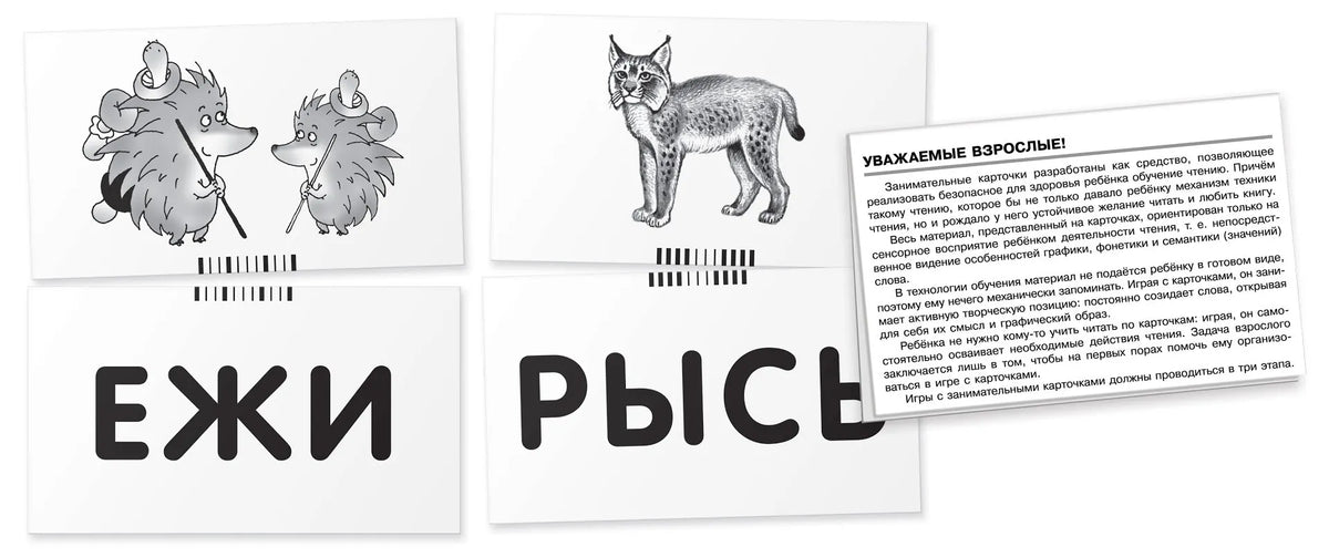 OG2. Lion. Reading words-syllables.