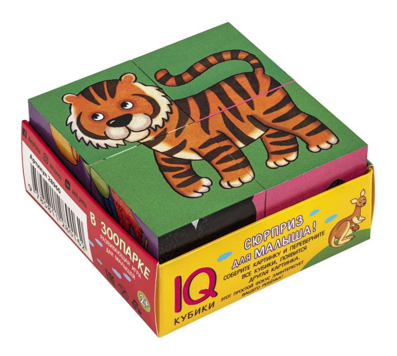 Smart cubes in a tray. 4 pieces. At the zoo.