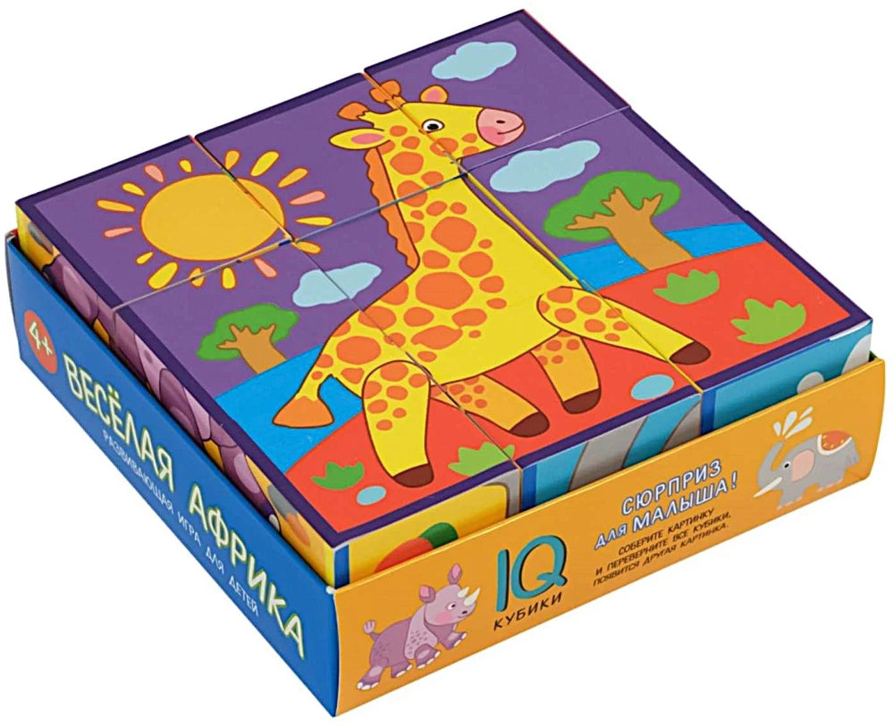 Smart cubes in a tray. 9 pieces. Fun Africa.