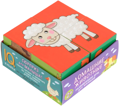 Smart cubes in a tray. 4 pieces. Pets.