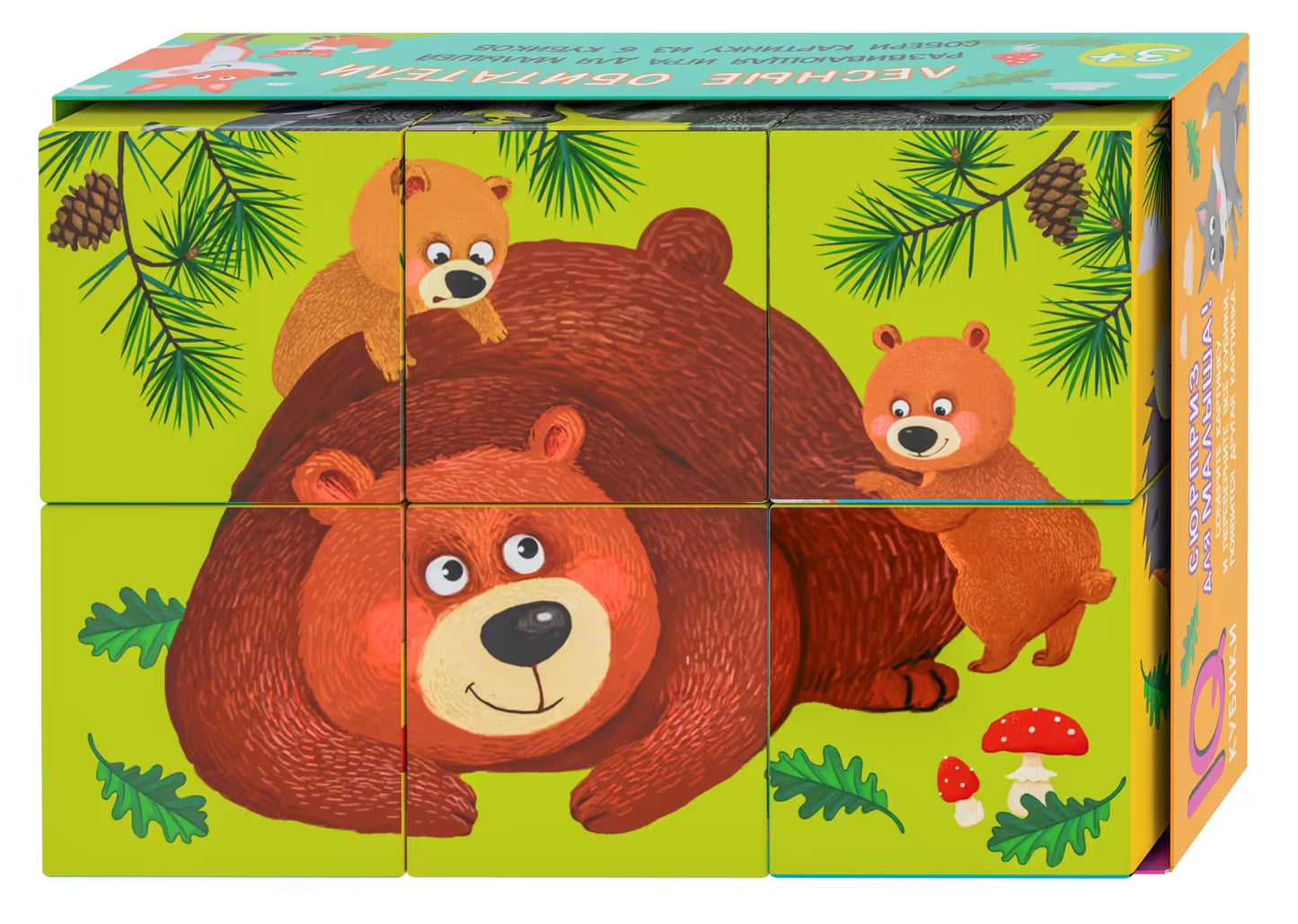 Smart cubes in a tray. 6 pieces. Forest dwellers.