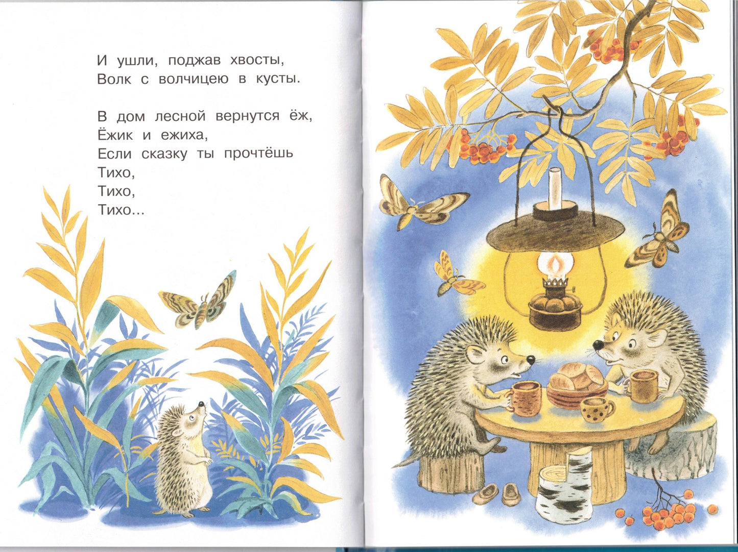 Мои первые сказки на ночь