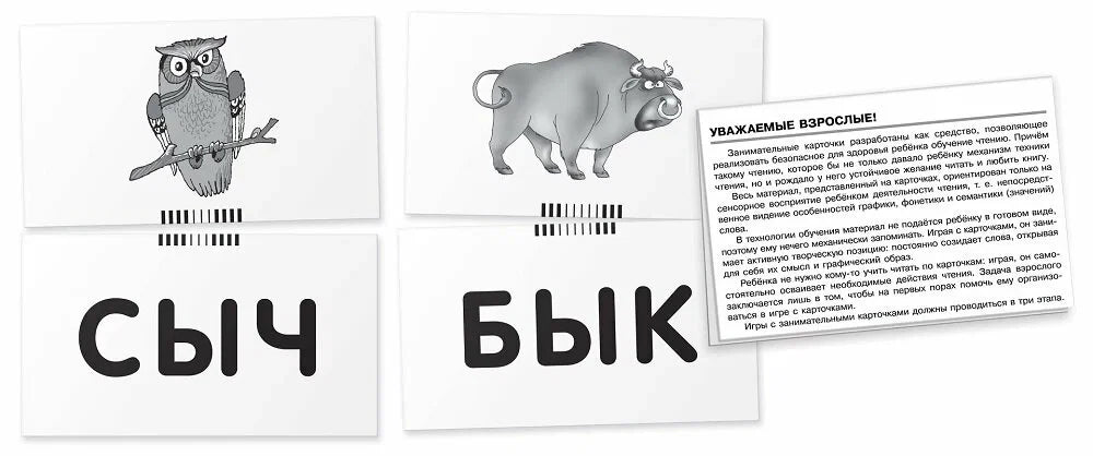 Штец А.А. ОГ1. Жук. Читаем слова-слоги