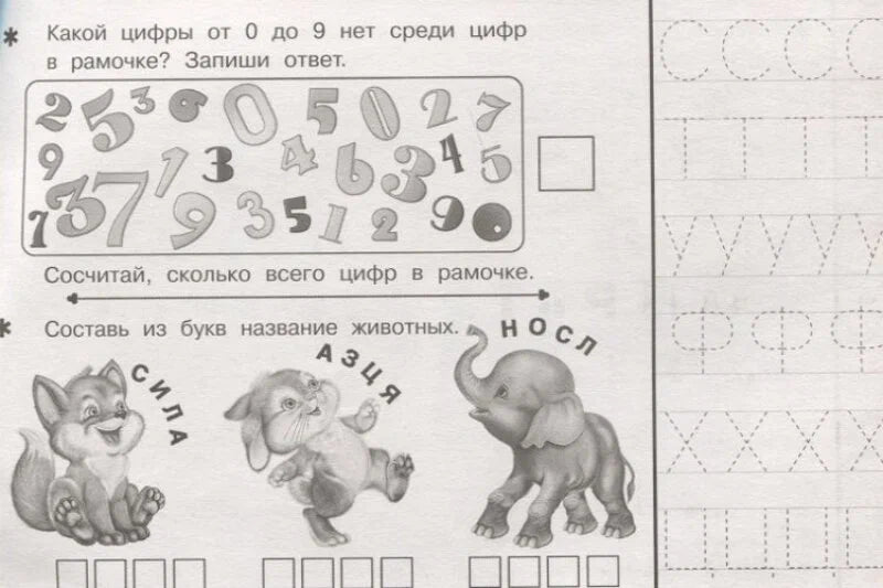 Задания: развиваем малыша 5+
