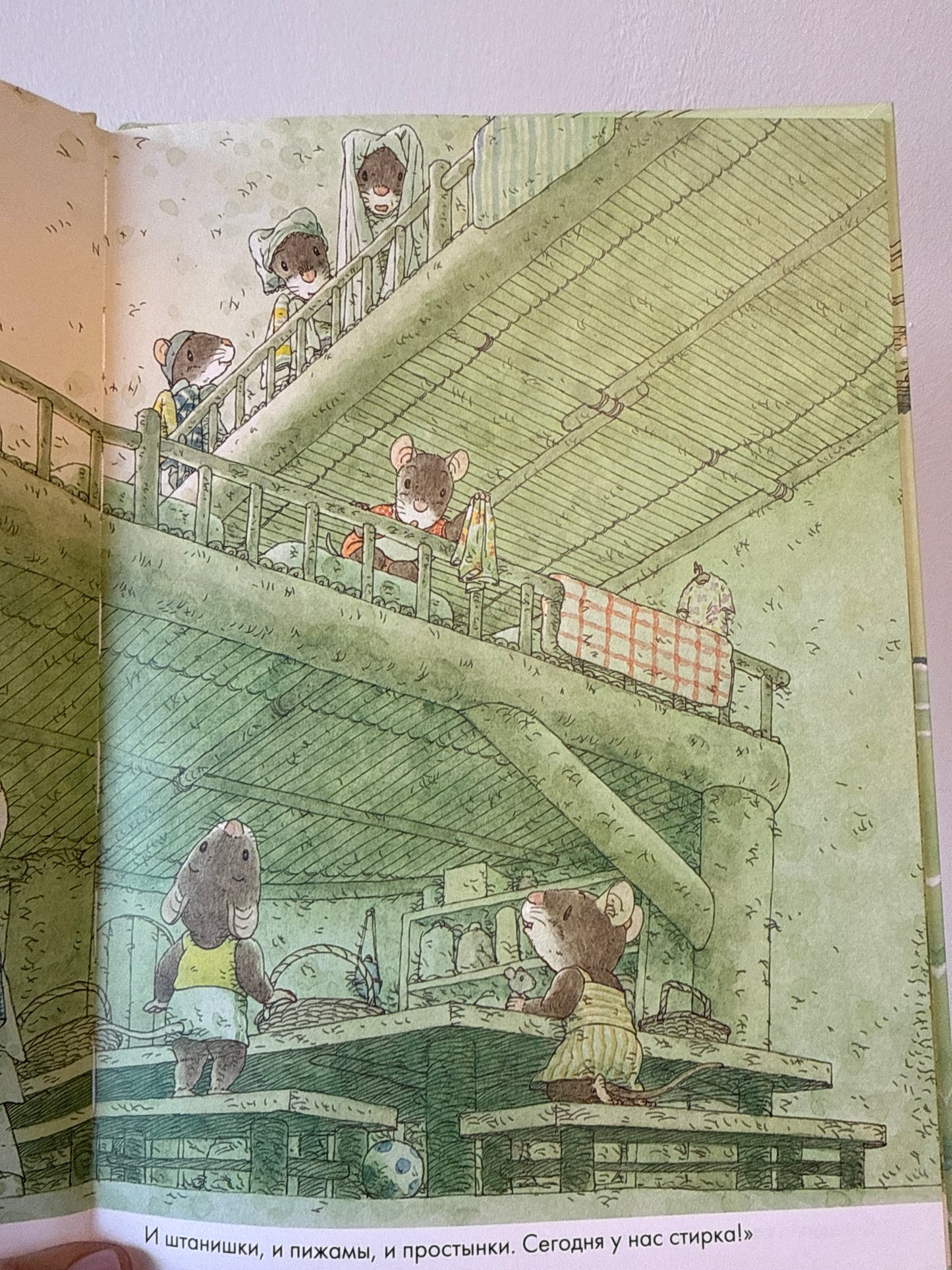 14 Wood Mice Laundry