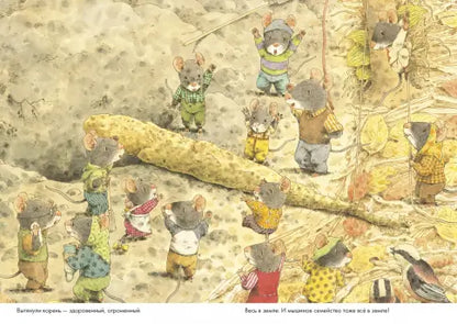 14 Wood Mice Sweet Potato