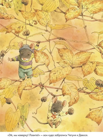 14 Wood Mice (MINI). Sweet Potato