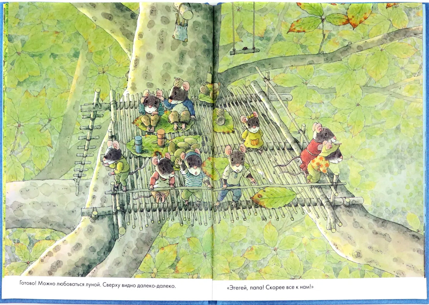 14 Forest Mice (MINI) or Mouse Books