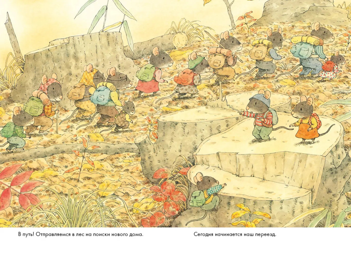 14 wood mice (mini). Moving