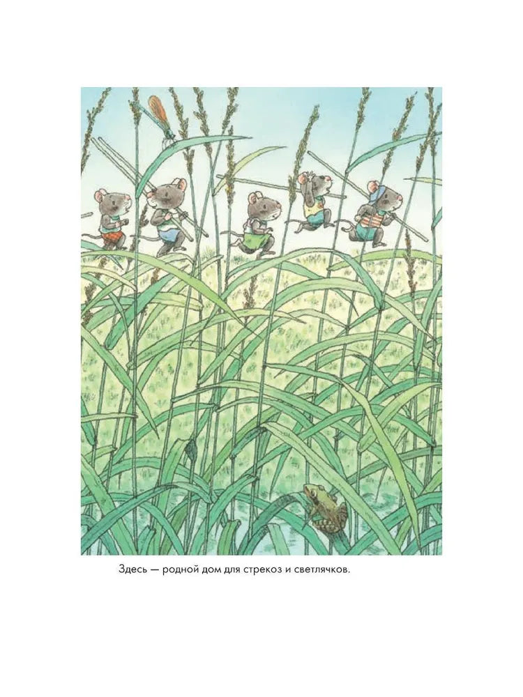 14 wood mice (mini). Dragonfly pond
