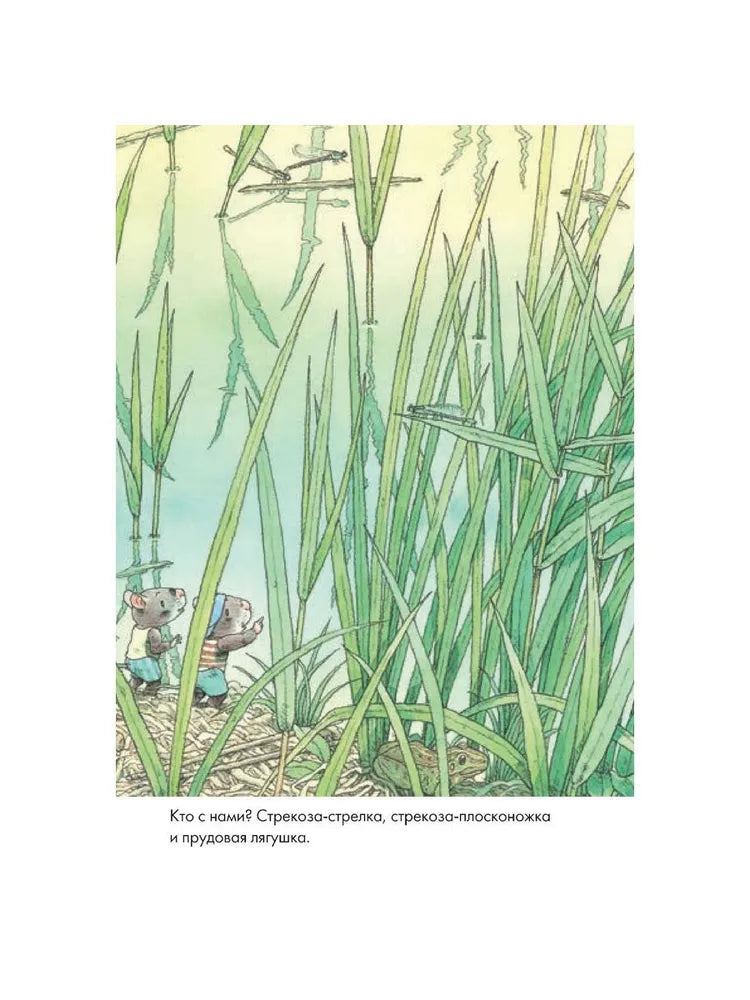 14 wood mice (mini). Dragonfly pond
