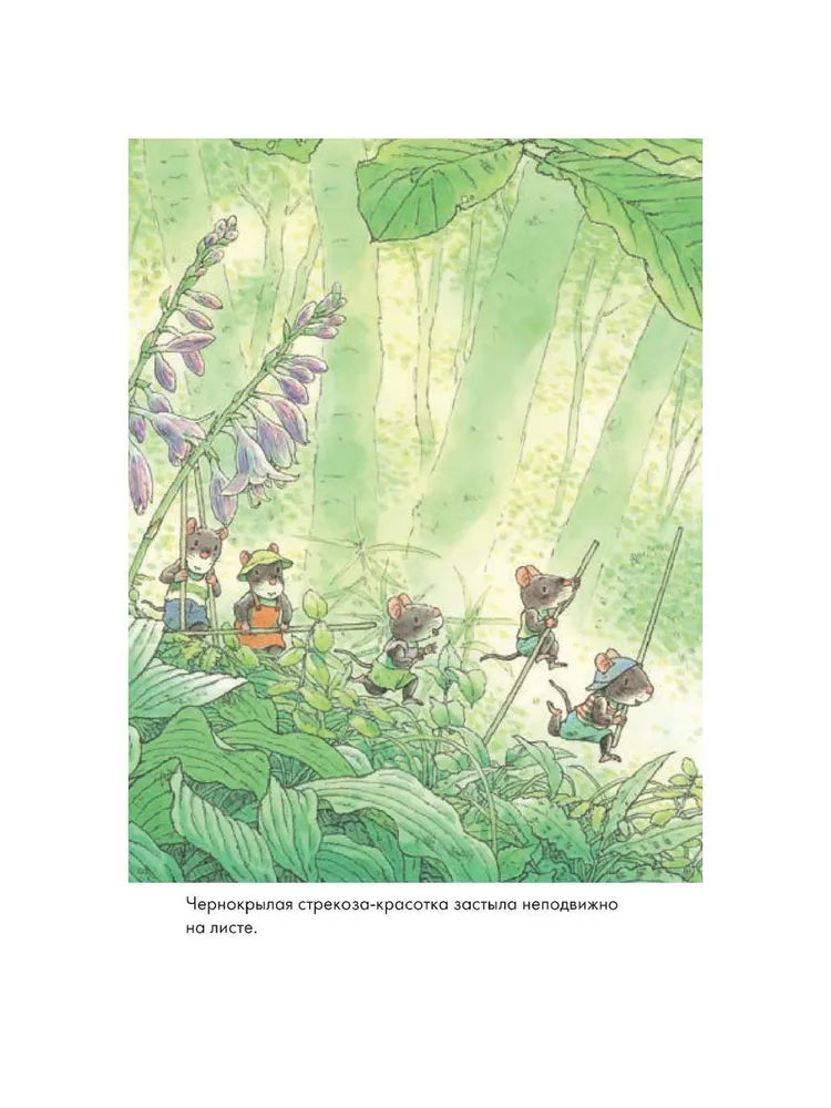 14 wood mice (mini). Dragonfly pond