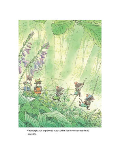 14 wood mice (mini). Dragonfly pond