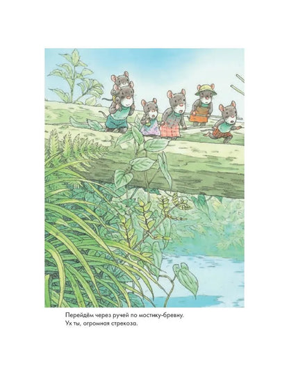 14 wood mice (mini). Dragonfly pond