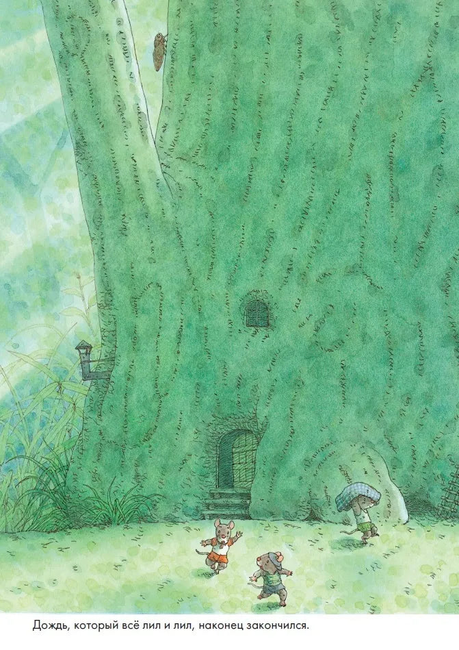 14 Wood Mice Laundry