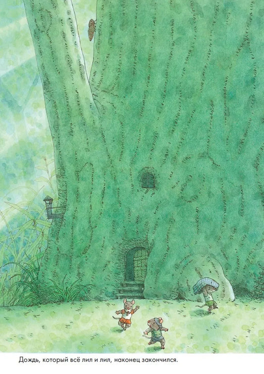 14 Wood Mice Laundry