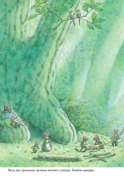 14 Wood Mice Laundry