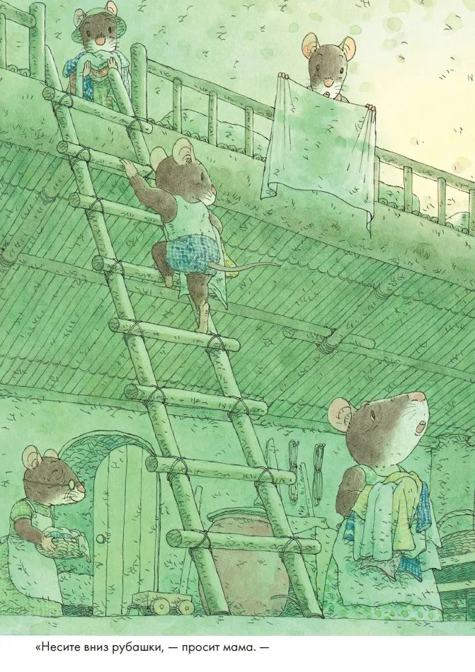14 Wood Mice Laundry