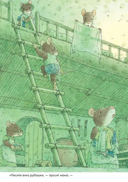 14 Wood Mice Laundry