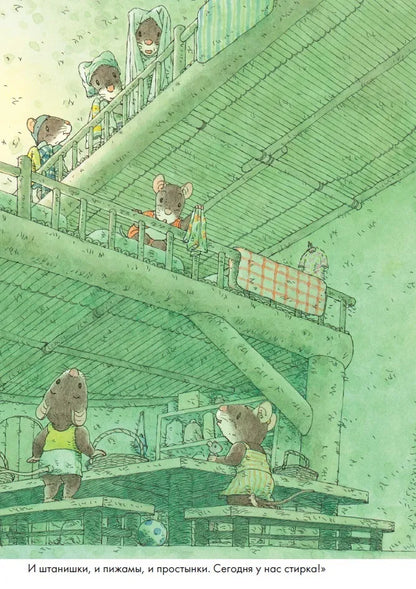 14 Wood Mice Laundry