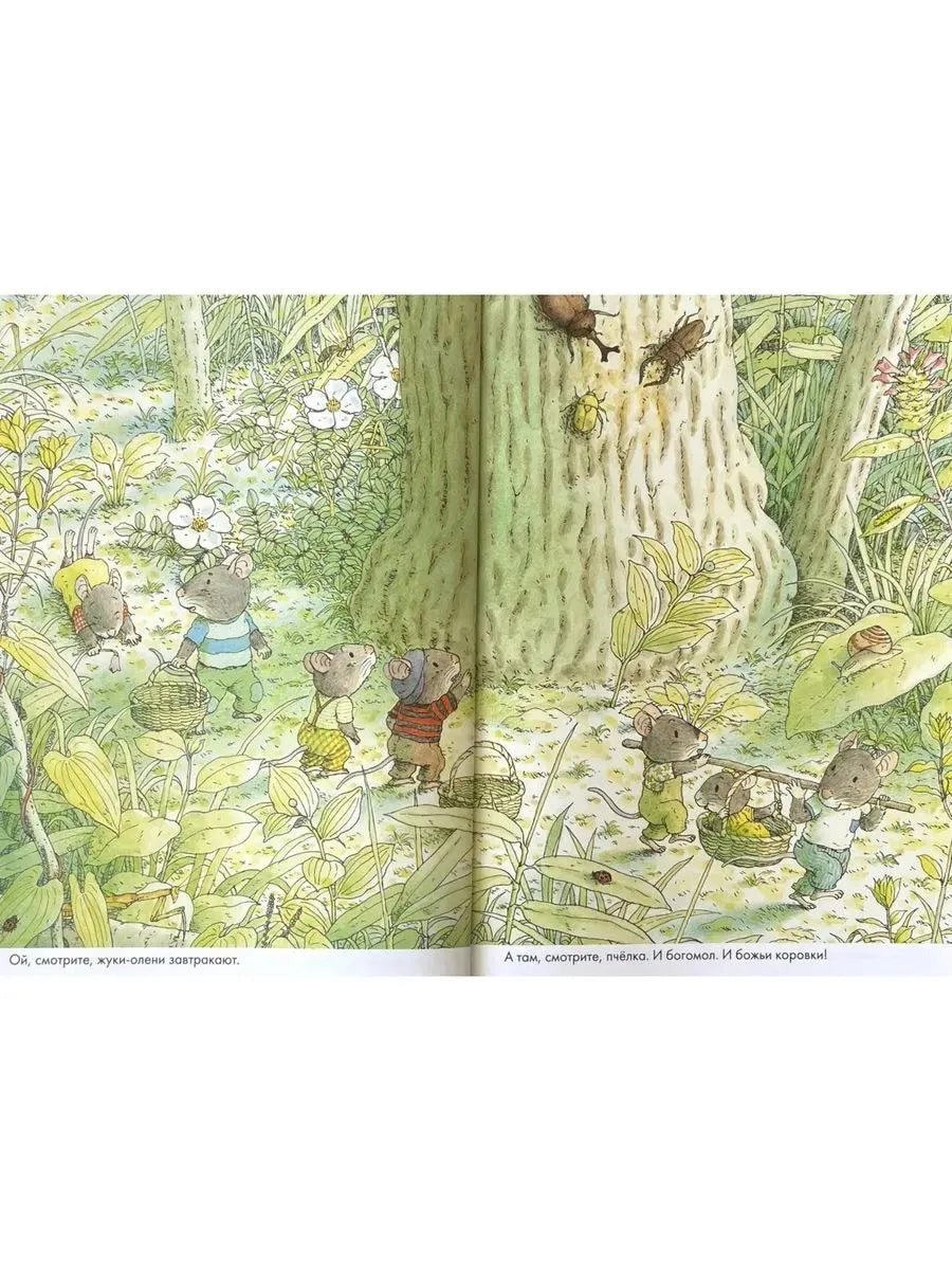 14 Wood Mice Breakfast