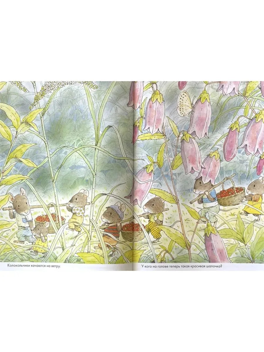 14 Wood Mice Breakfast