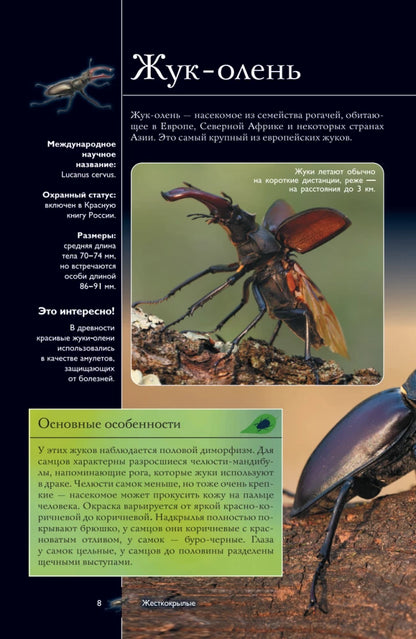 Насекомые. Иллюстрированный гид