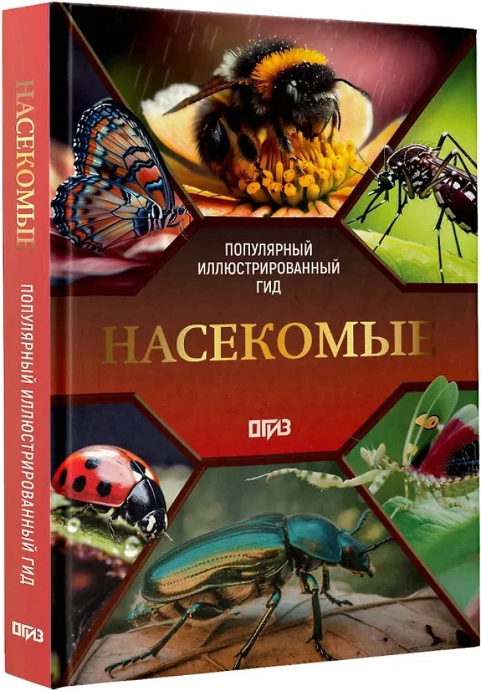 Насекомые. Иллюстрированный гид