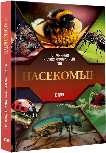 Насекомые. Иллюстрированный гид