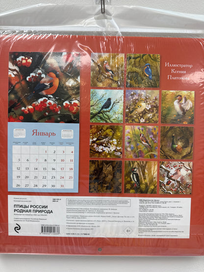 Birds of Russia. Native Nature. Wall Calendar for 2026