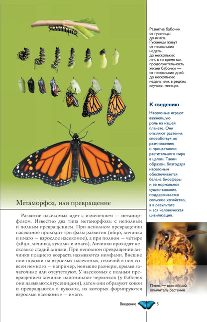 Насекомые. Иллюстрированный гид