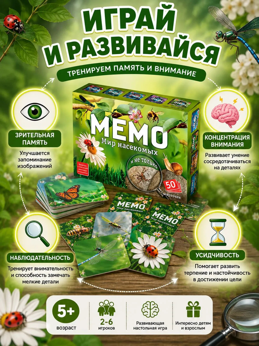 Мемо. Мир насекомых и не только