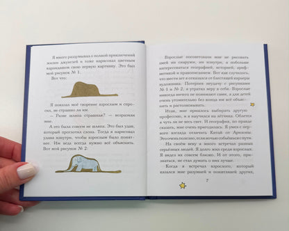 The Little Prince (mini)