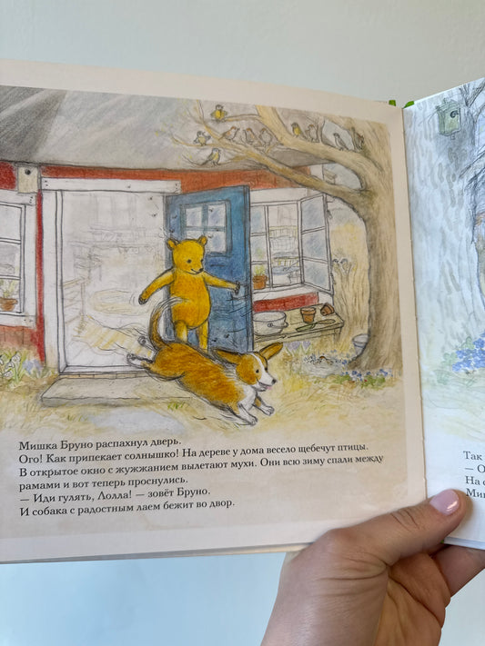 Bruno the Bear's Spring