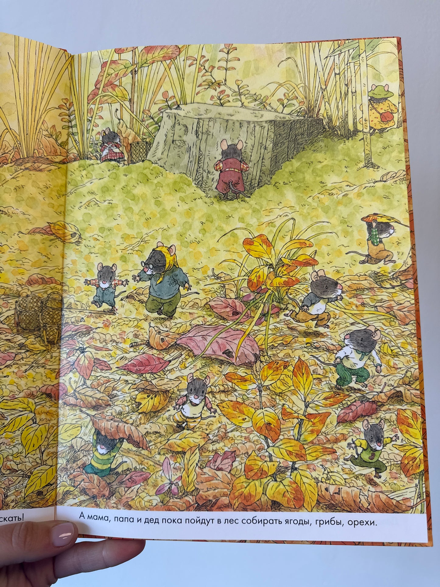 14 Forest Mice Mushroom Parade