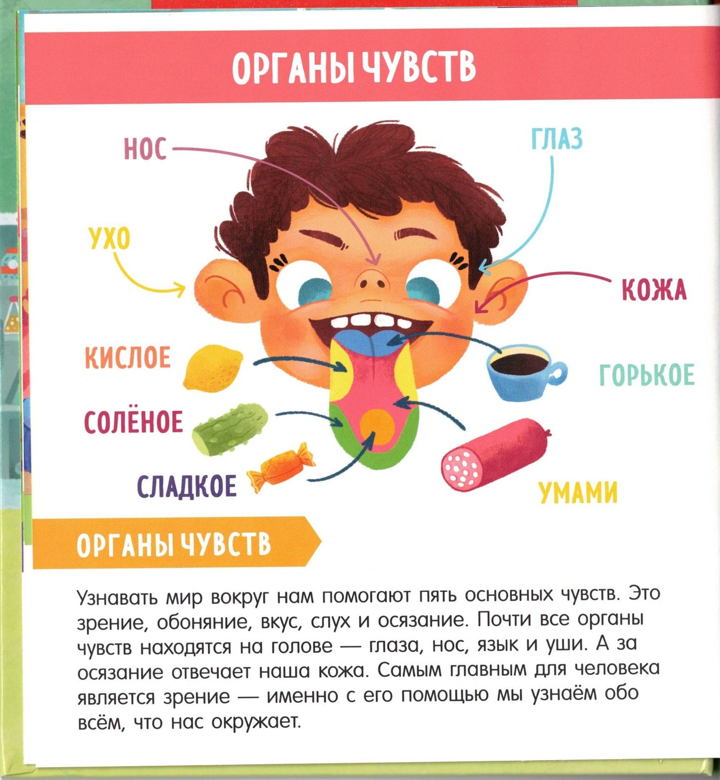 Найди и покажи, малыш Моё тело