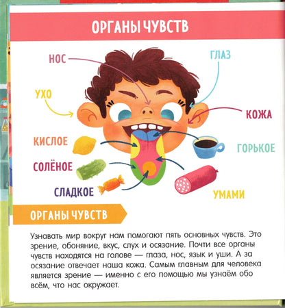 Найди и покажи, малыш Моё тело