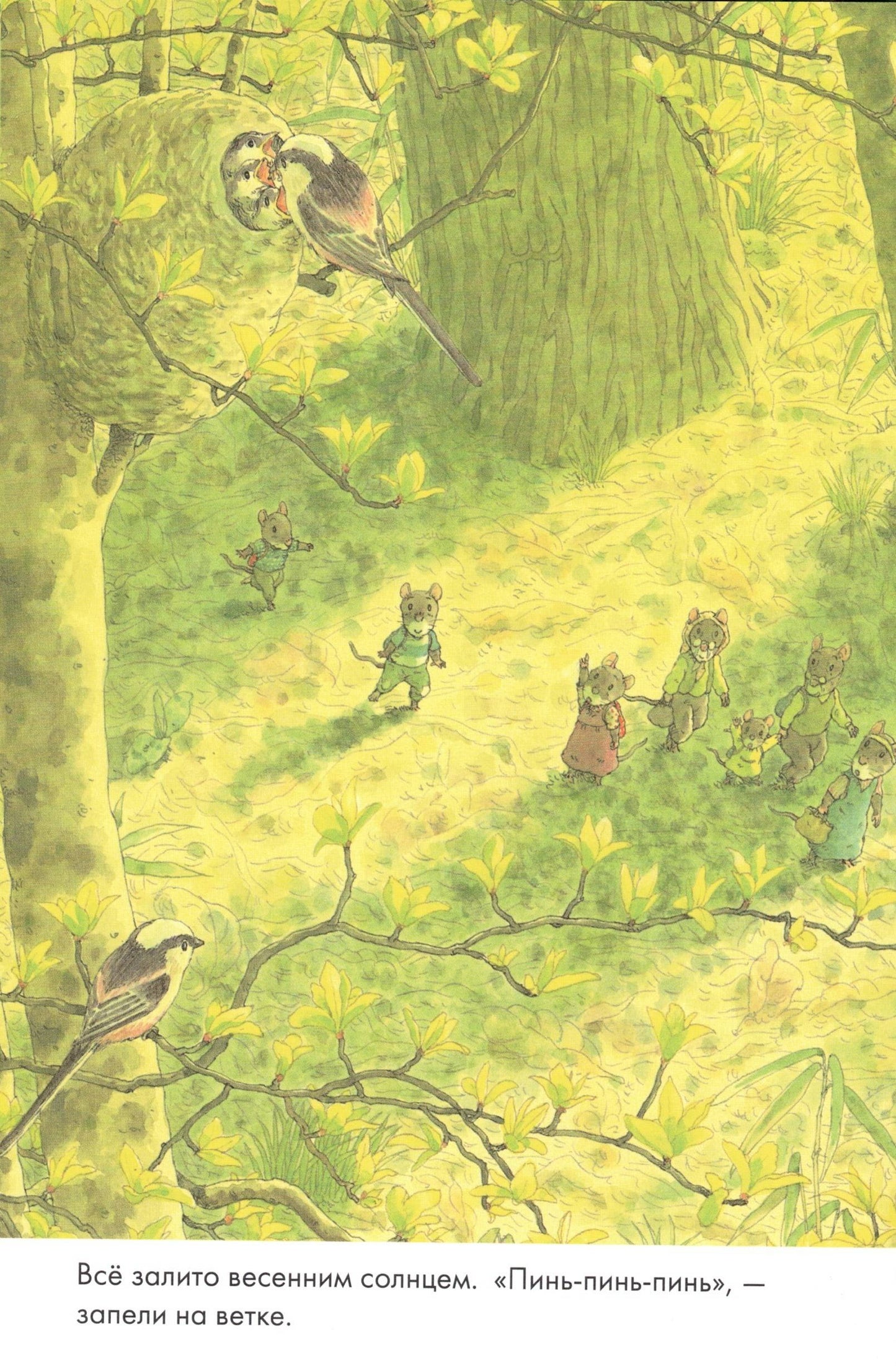 14 лесных мышей (МИНИ). Сладкая картошка