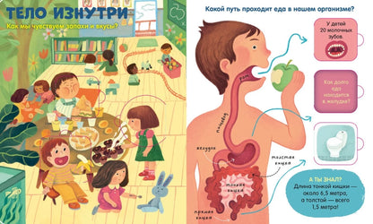 Книжка с окошками. Тело человека