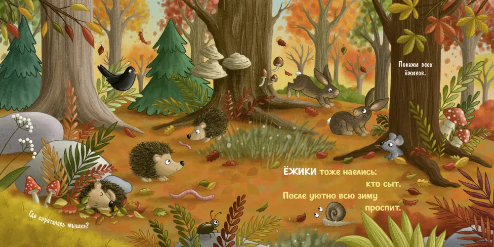 Board books. Autumn in the forest
