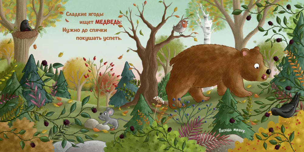 Board books. Autumn in the forest