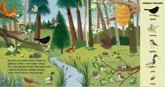 Find and show. Find and show. Animals in the forest