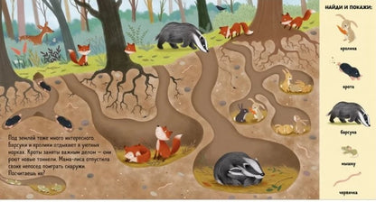 Find and show. Find and show. Animals in the forest