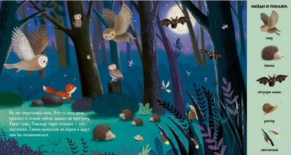 Find and show. Find and show. Animals in the forest