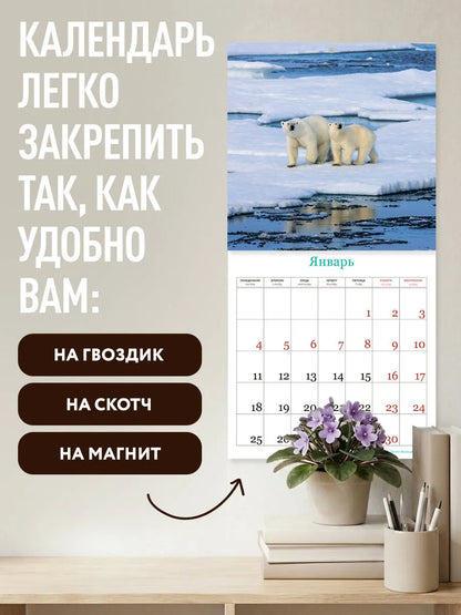 Русская природа. Календарь настенный на 2027 год